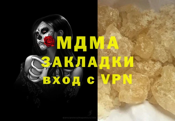 шишки Арсеньев