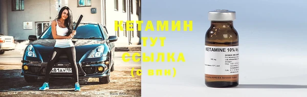 шишки Арсеньев