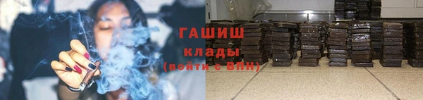шишки Арсеньев