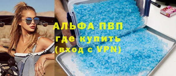 шишки Арсеньев